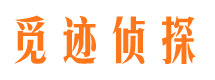 上甘岭侦探公司